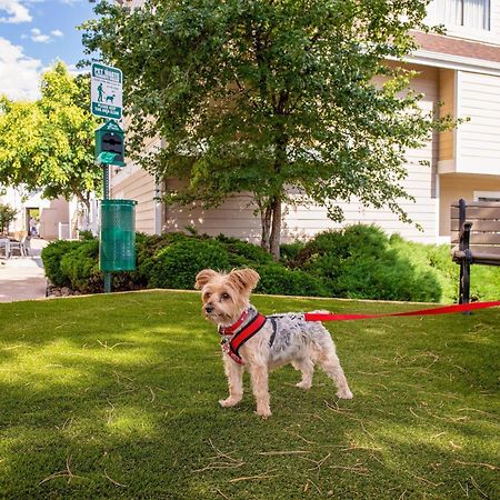 Residence Inn Denver Downtown Exterior foto